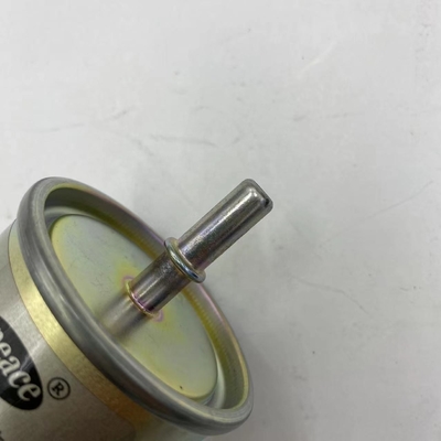 Filtre à carburant 1117100XKW09A pour la Grande Muraille Haval H4 H5 H6 H7 H8 H9 M6 F5 F7 Moteur GW4C20