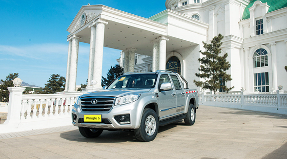 Grand mur Wingle 6 2014-2020 Fengjun 6 Pickup Lumière arrière pare-chocs Lumière de brouillard Durable