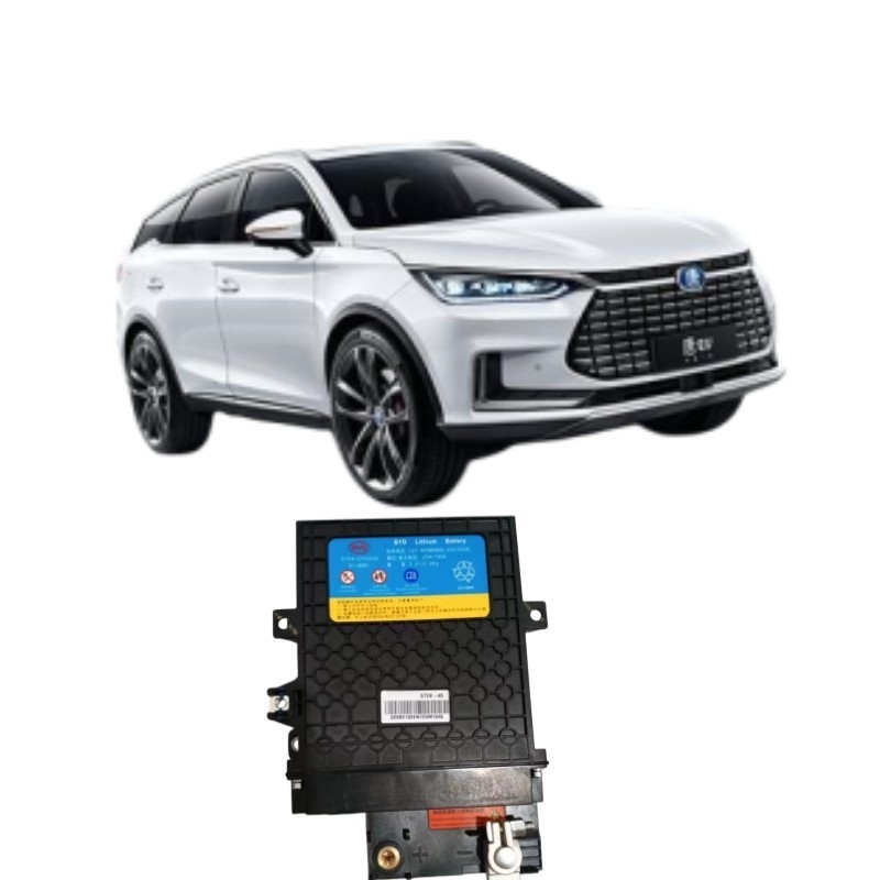 395*291*109mm Noir BYD Tang EV démarreur batterie en fer STEK-3703030 pour la performance