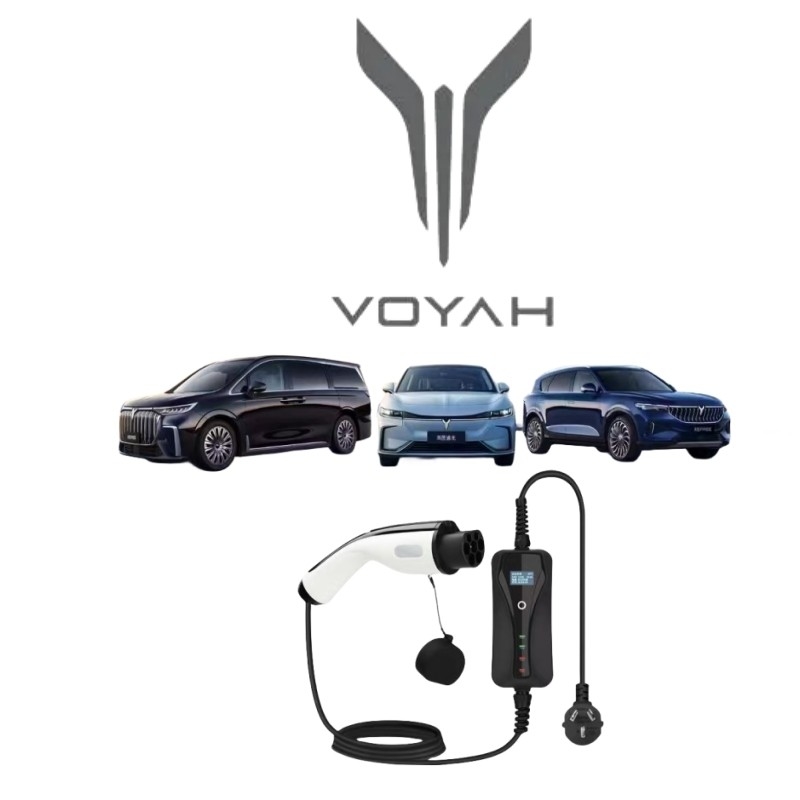 3/Y/S/X Plug-in Voyah gratuit pour véhicules électriques électriques à énergie spéciale