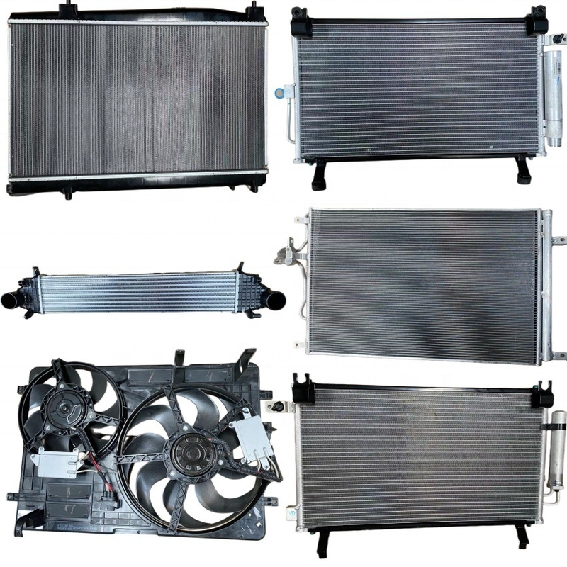 1301100BS16XA ASSY de radiateur pour le grand mur VOLEEX C30 PARTIES AUTO PARTIES AUTO entières en noir